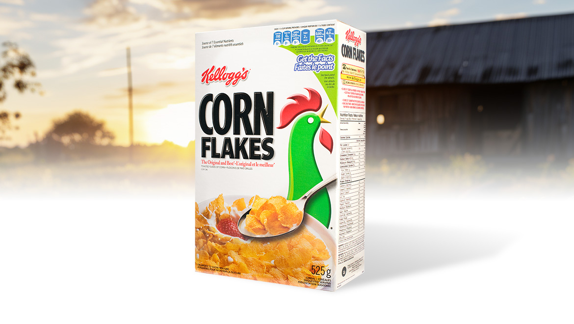 Corn Flakes - Photographie de produit